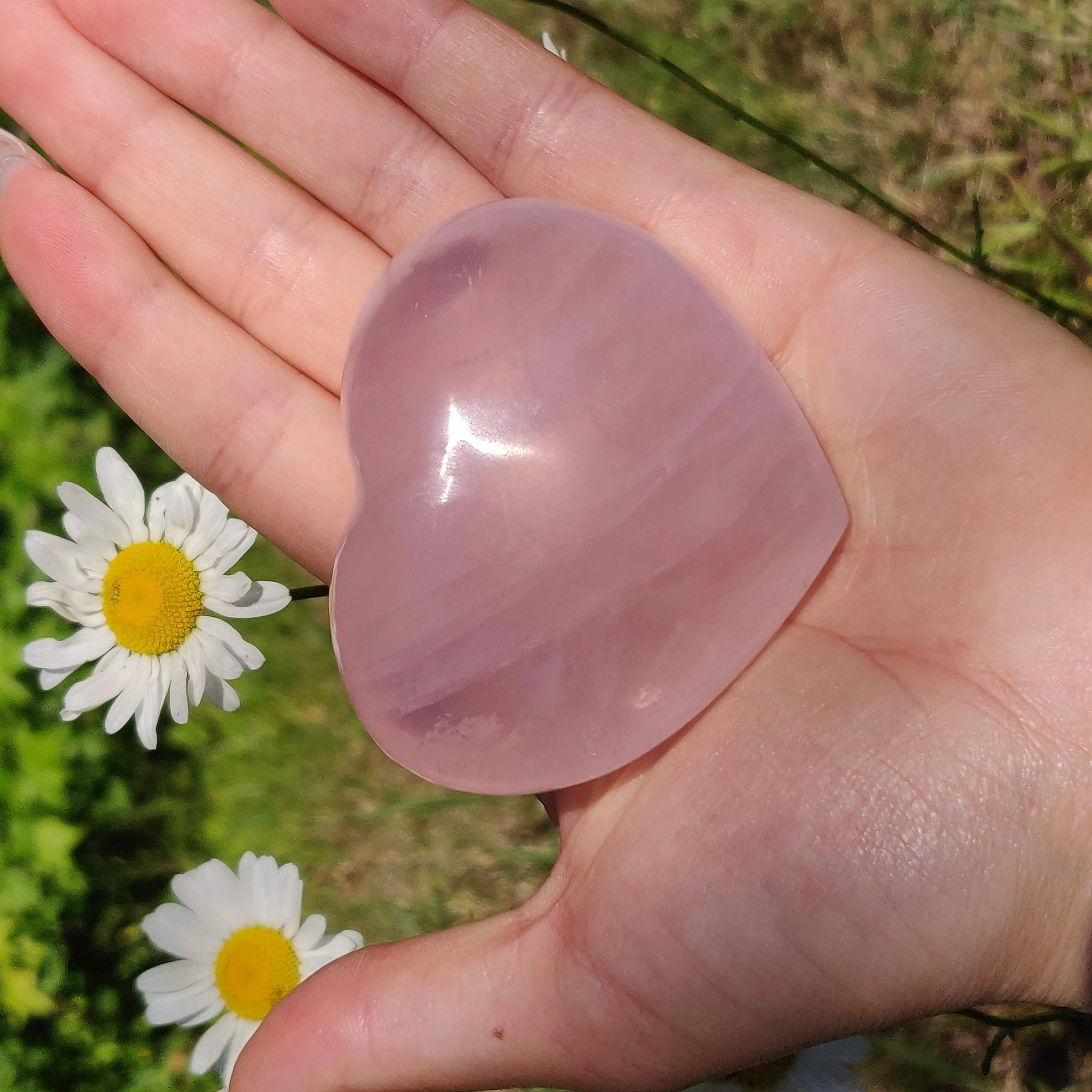 Star Rose Quartz Heart (#1M)