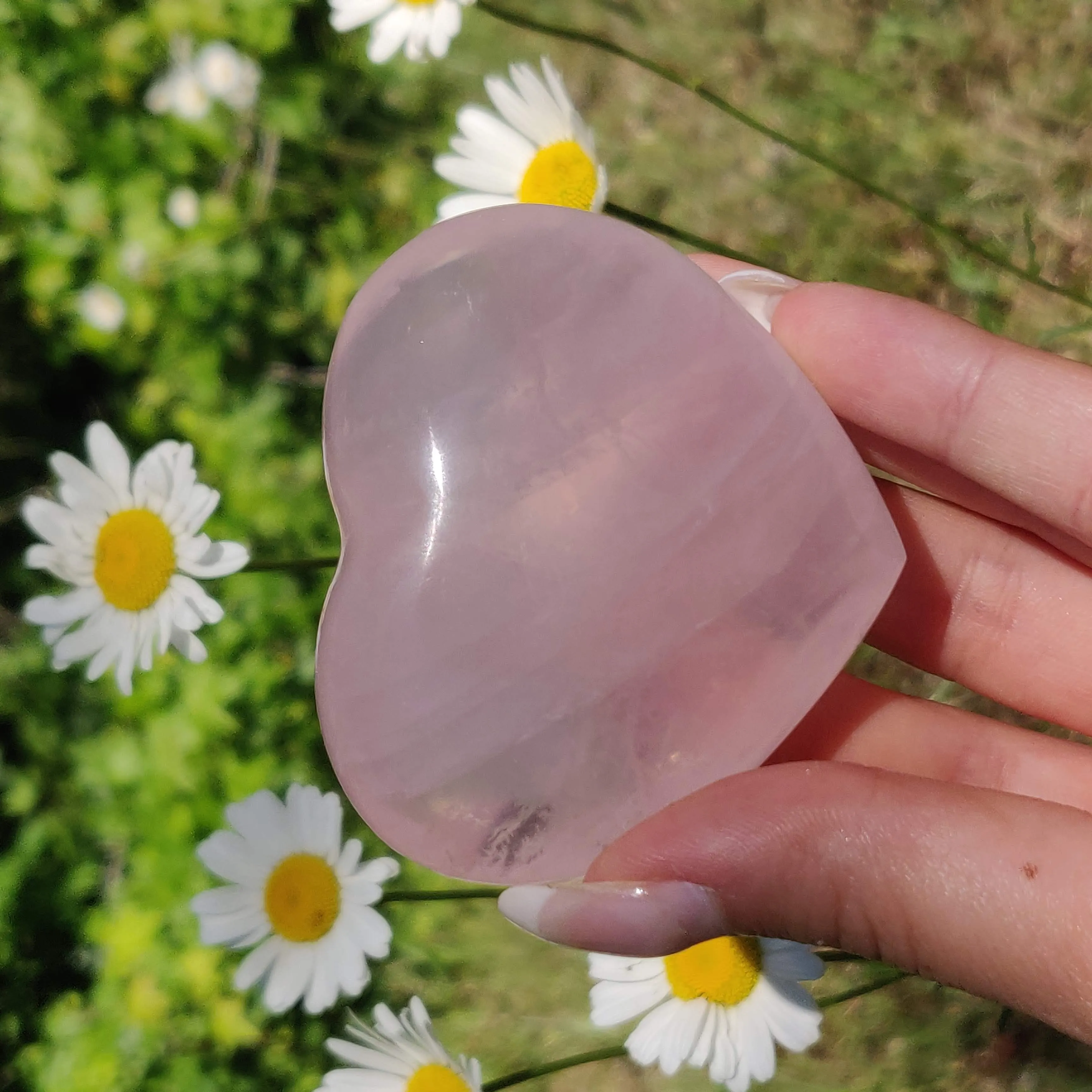 Star Rose Quartz Heart (#1M)