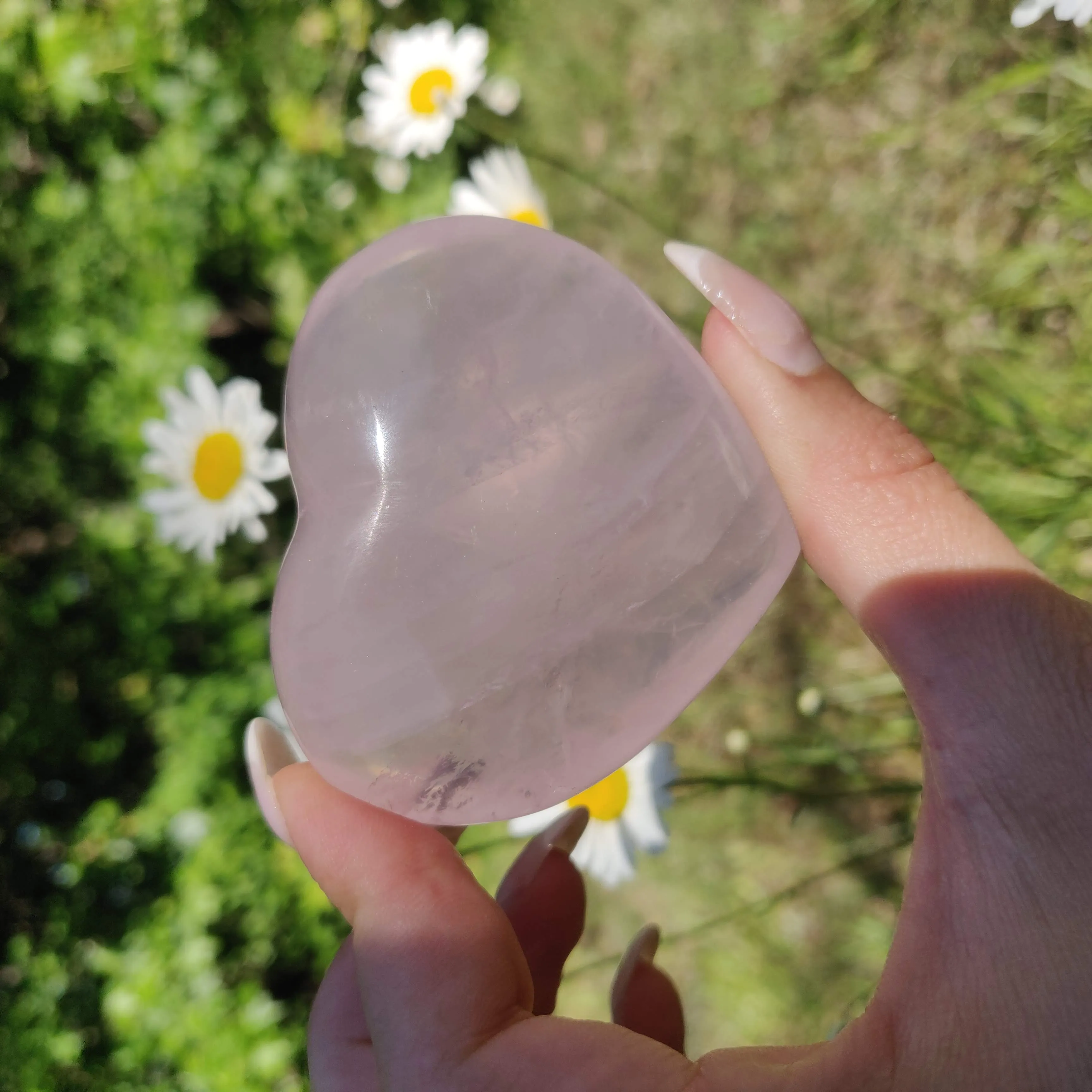 Star Rose Quartz Heart (#1M)