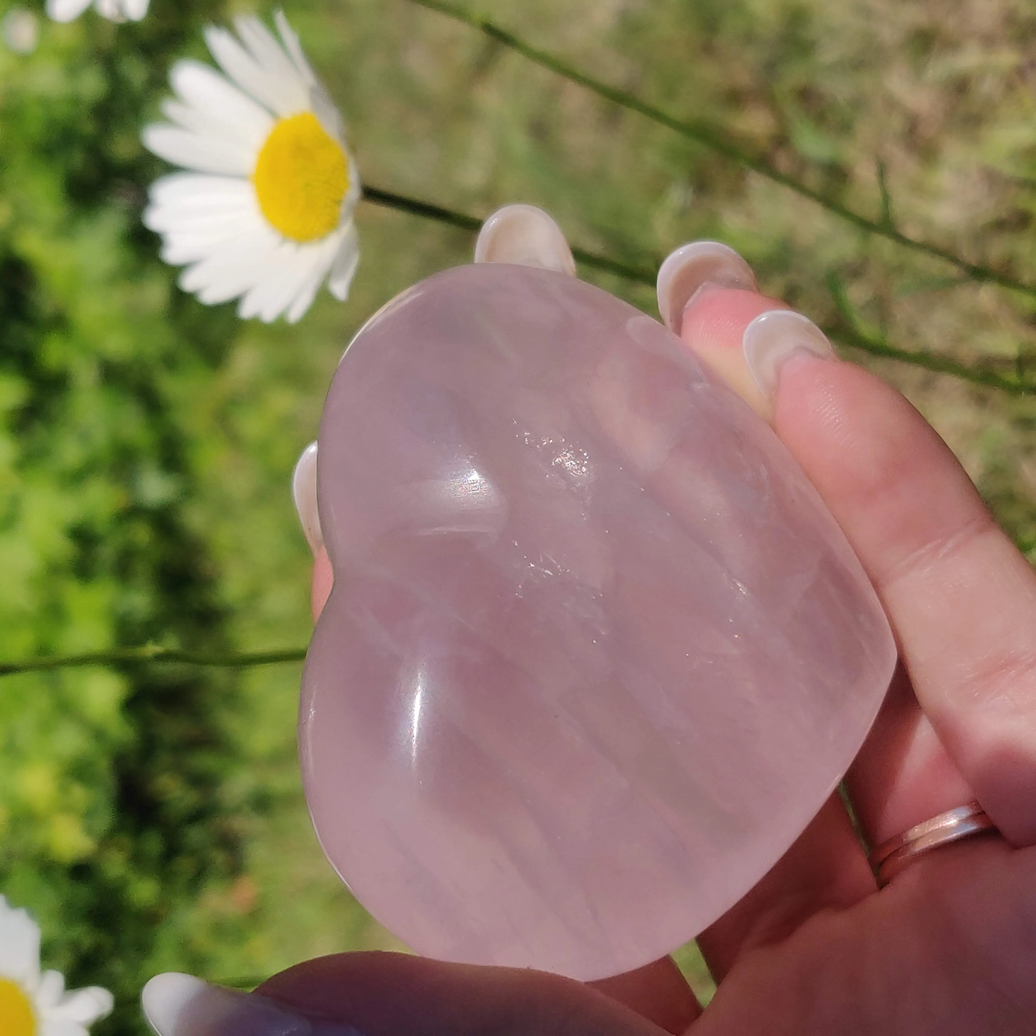 Star Rose Quartz Heart (#1M)