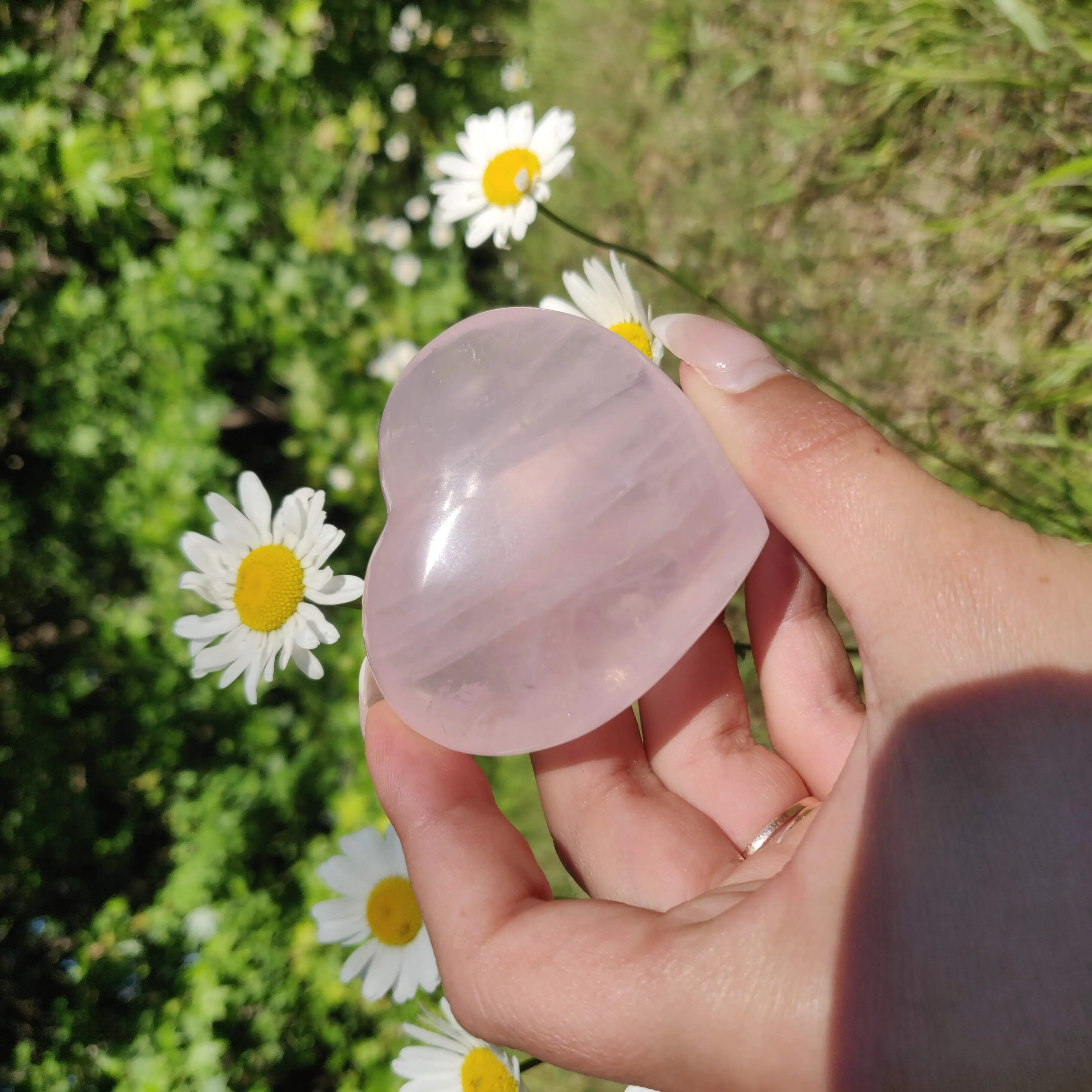 Star Rose Quartz Heart (#1M)