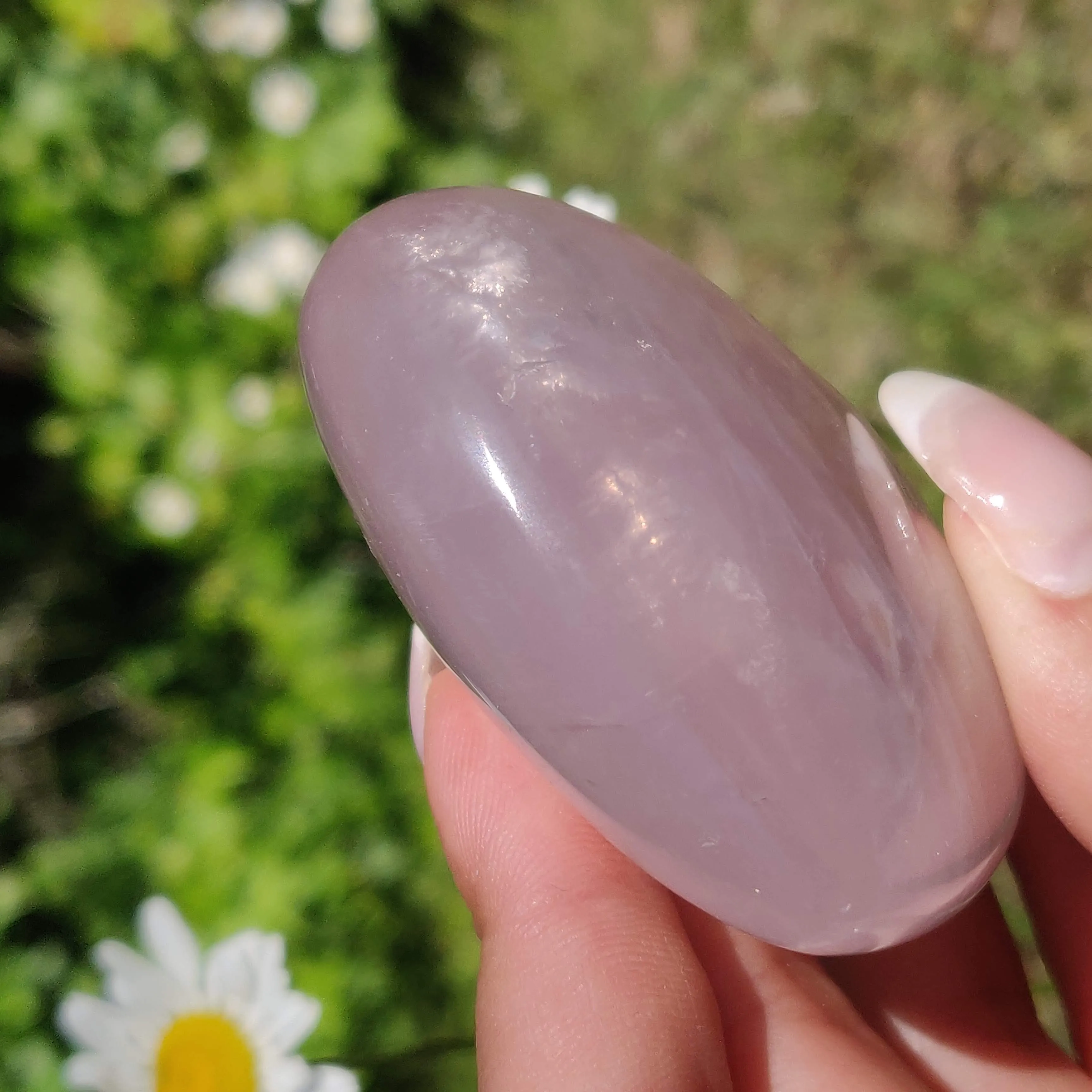 Star Rose Quartz Heart (#1M)